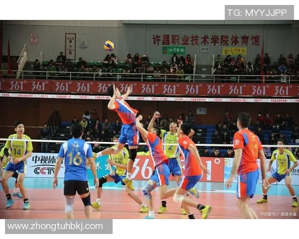 排球精神之旅：深入解析上海排球队的心理素质与竞技表现