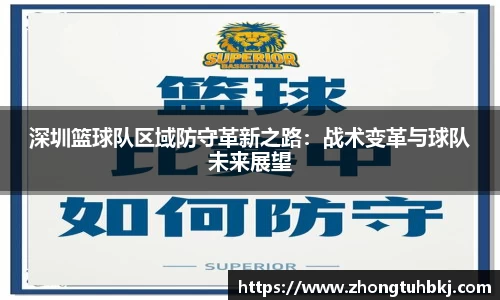 深圳篮球队区域防守革新之路：战术变革与球队未来展望